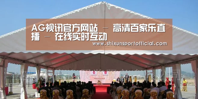 案例标题三