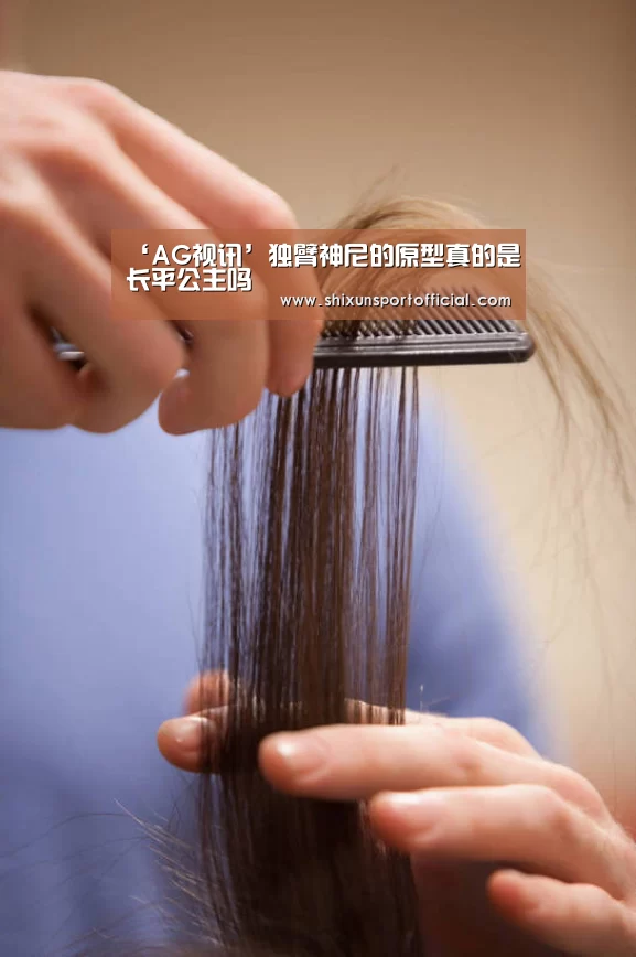 ‘AG视讯’独臂神尼的原型真的是长平公主吗