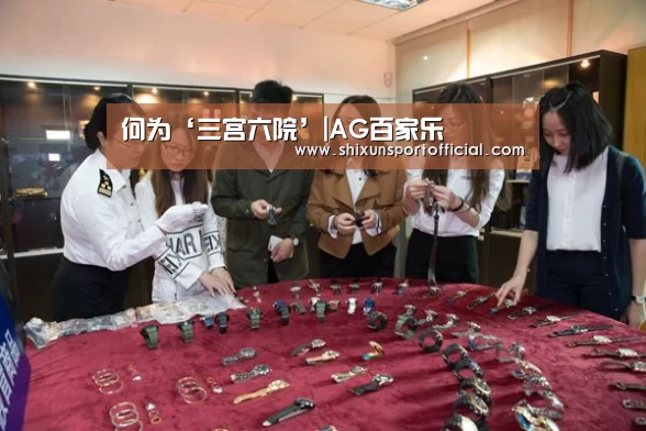 何为‘三宫六院’|AG百家乐