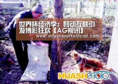 世界杯经济学:移动互联引发博彩狂欢【AG视讯】