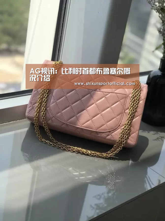 AG视讯:比利时首都布鲁塞尔概况介绍(图2) AG视讯